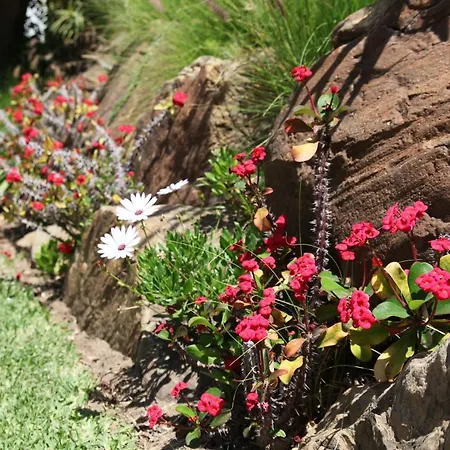 公寓 In Jardines De Golondrinas