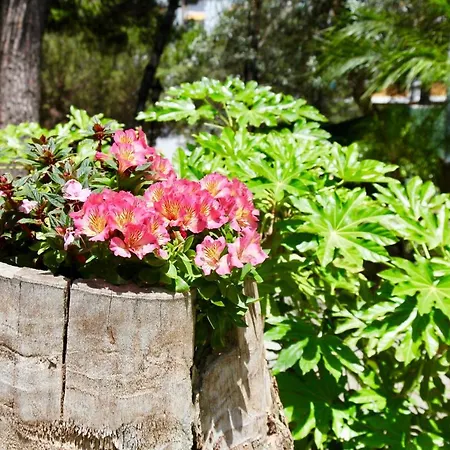 In Jardines De Golondrinas *