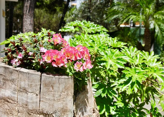 In Jardines De Golondrinas *