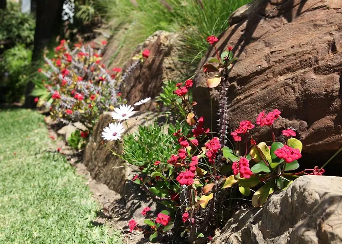 아파트 In Jardines De Golondrinas